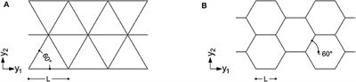 Conceptual Design of Diagrids and Hexagrids by Distribution of Lattice Structures